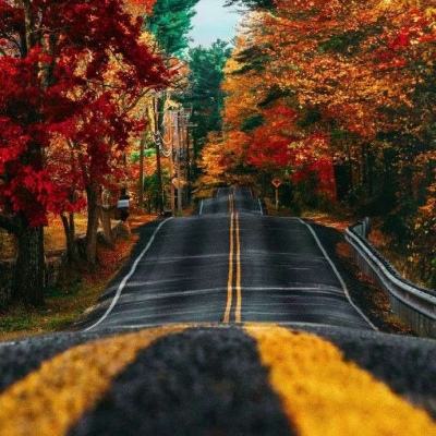 北京pk赛车app官网下载安装截图